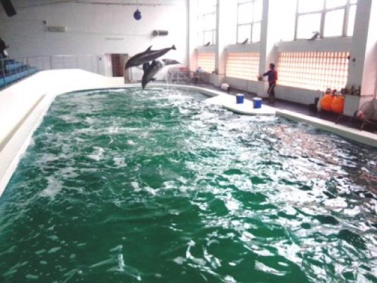 Intrare liberă la Complexul Muzeal de Ştiinţe ale Naturii
